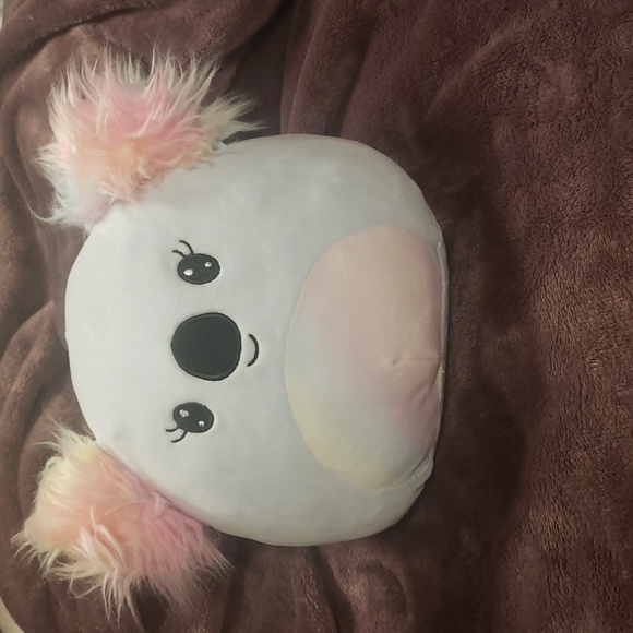 Kya‎ the Koala Squishmallow - Picture 1 of 6